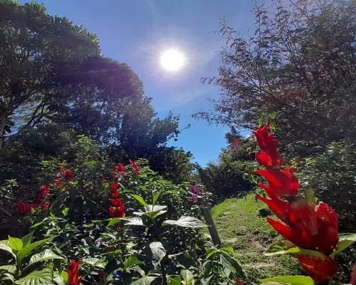 La Posada de las Aves en San Rafael, Antioquia: foto 1